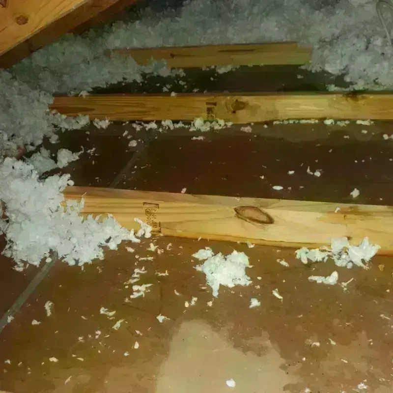 Attic Water Damage in Denison, TX